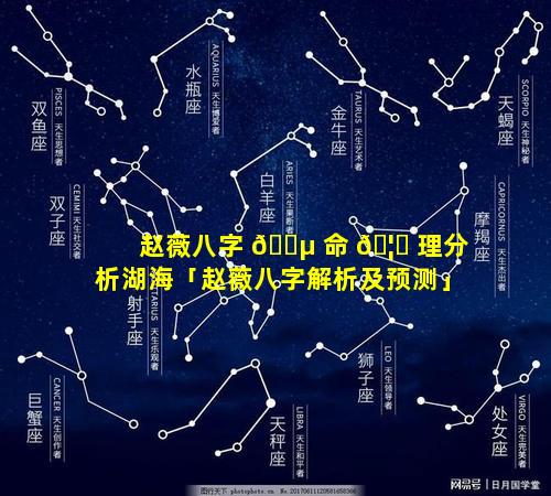 赵薇八字 🌵 命 🦊 理分析湖海「赵薇八字解析及预测」